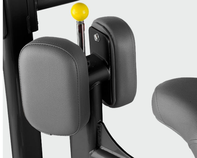 Ab Twister BH Fitness L430B