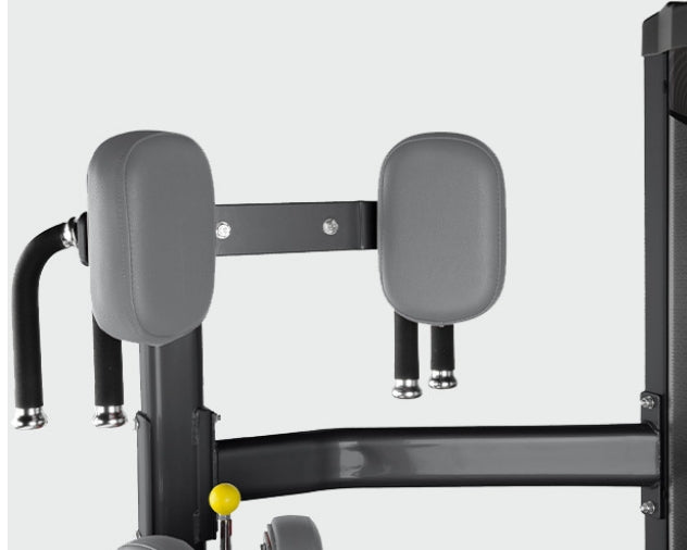 Ab Twister BH Fitness L430B