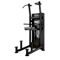 Tour de traction et de trempage assistée BH Fitness L450B