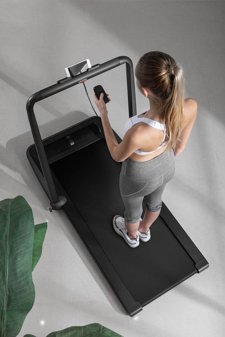 Flow Fitness Runner DTM200i loopband