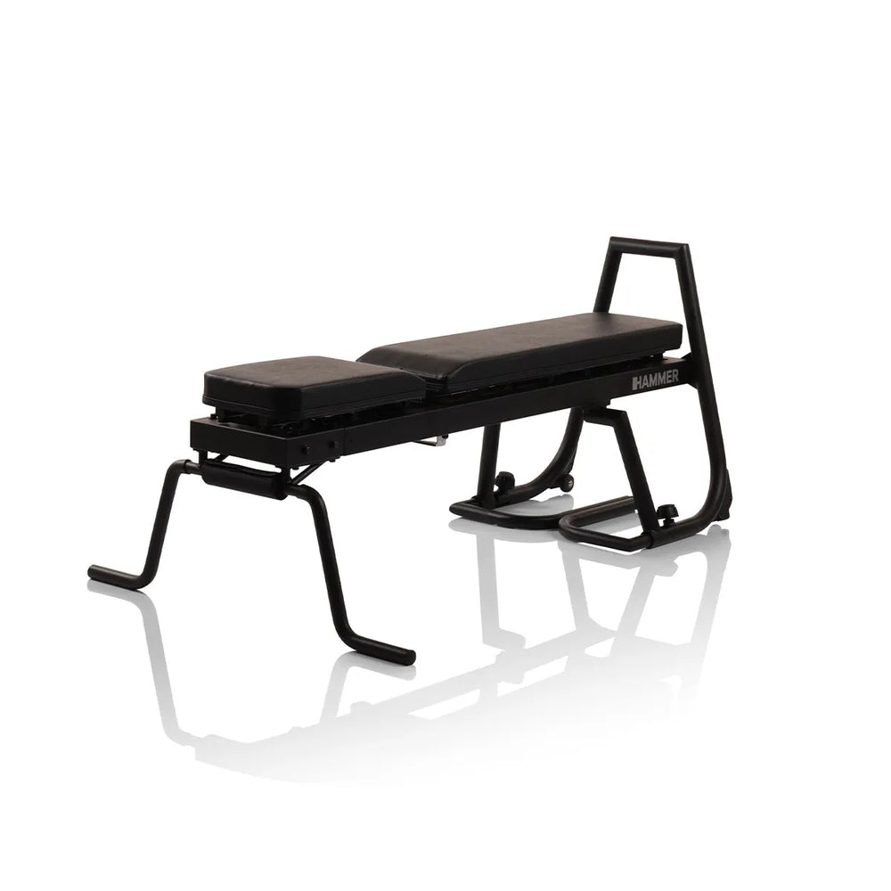 Tractions et dips sur banc à Hammer