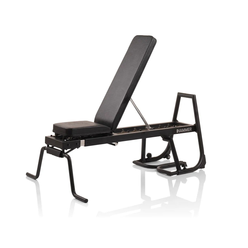 Tractions et dips sur banc à Hammer