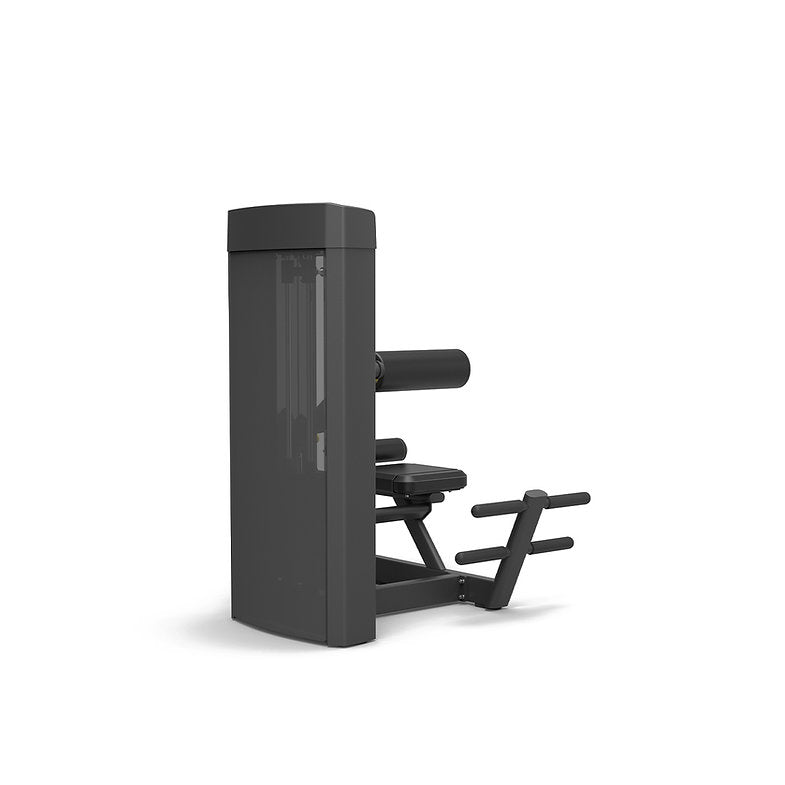 Extension des abdominaux et du dos Spirit Fitness