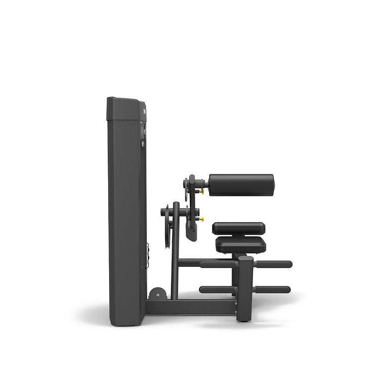 Extension des abdominaux et du dos Spirit Fitness