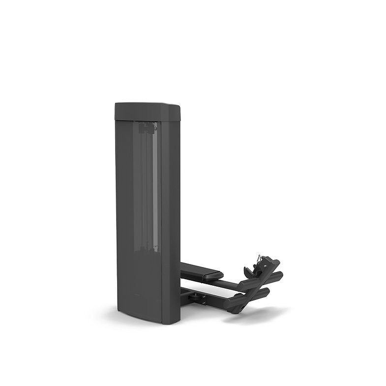 Spirit Fitness Low Row