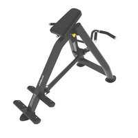 Spirit Fitness  T-bar row