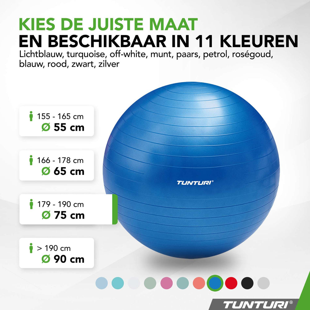 Tunturi Ballon de fitness anti éclatement bleu - 75 cm