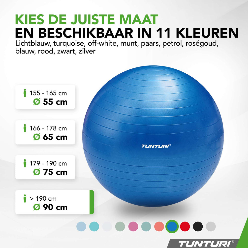 Tunturi Ballon de fitness anti éclatement bleu - 90 cm