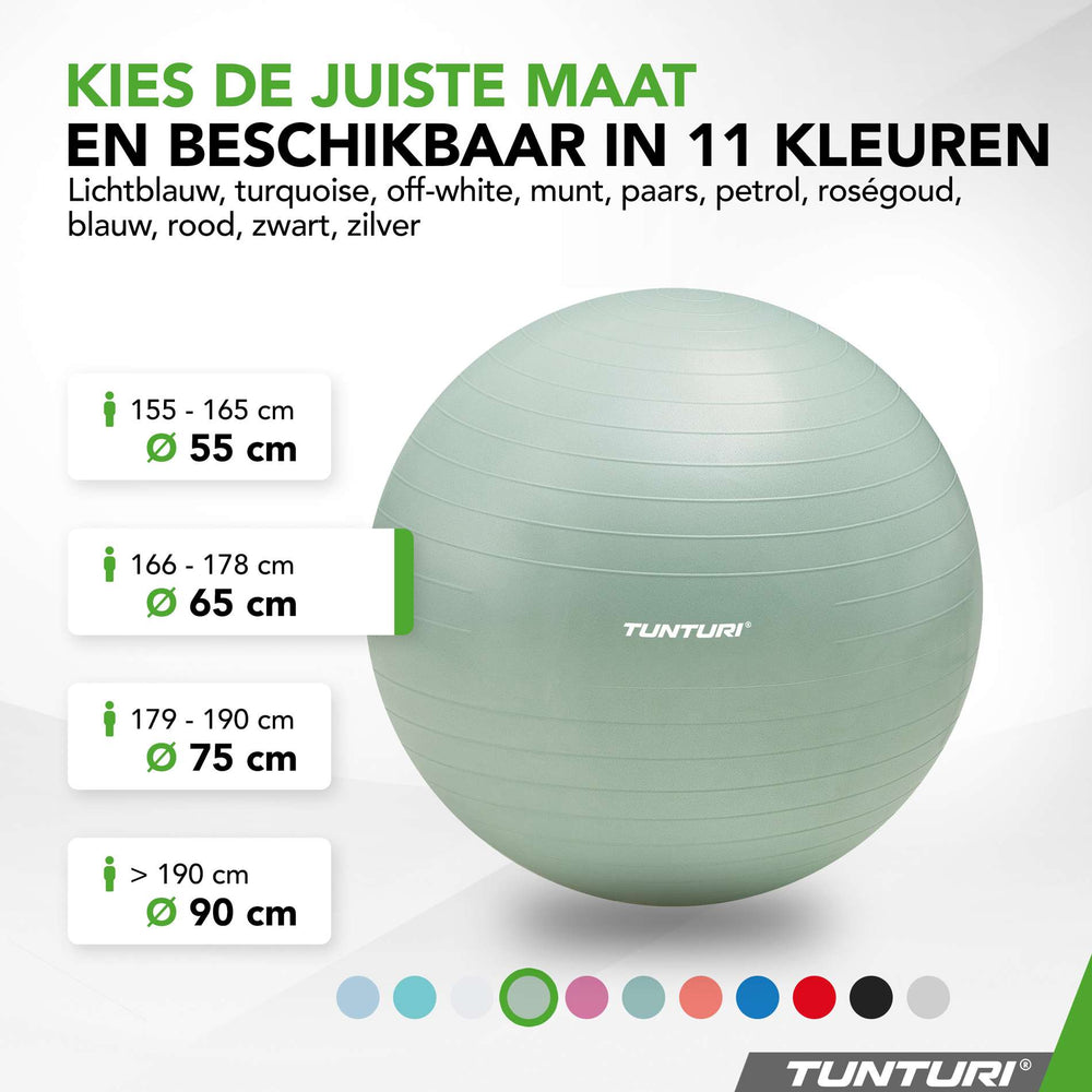 Tunturi Ballon de fitness anti éclatement menthe - 65 cm