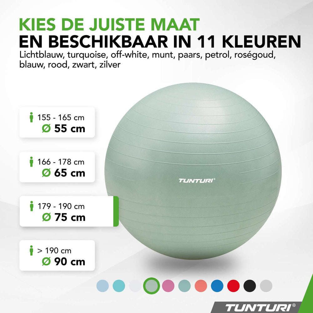 Tunturi Ballon de fitness anti éclatement menthe - 75 cm