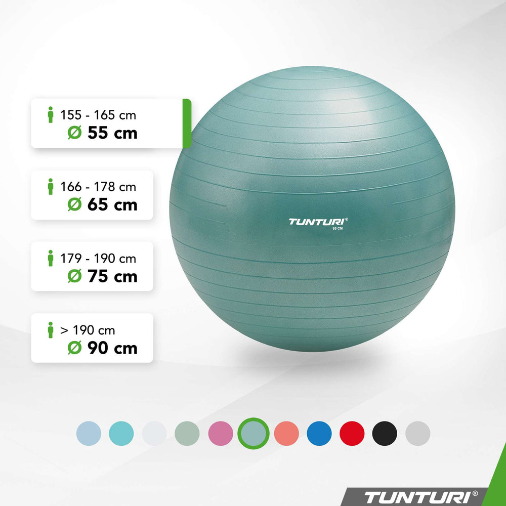 Tunturi Ballon de fitness anti éclatement essence - 55 cm