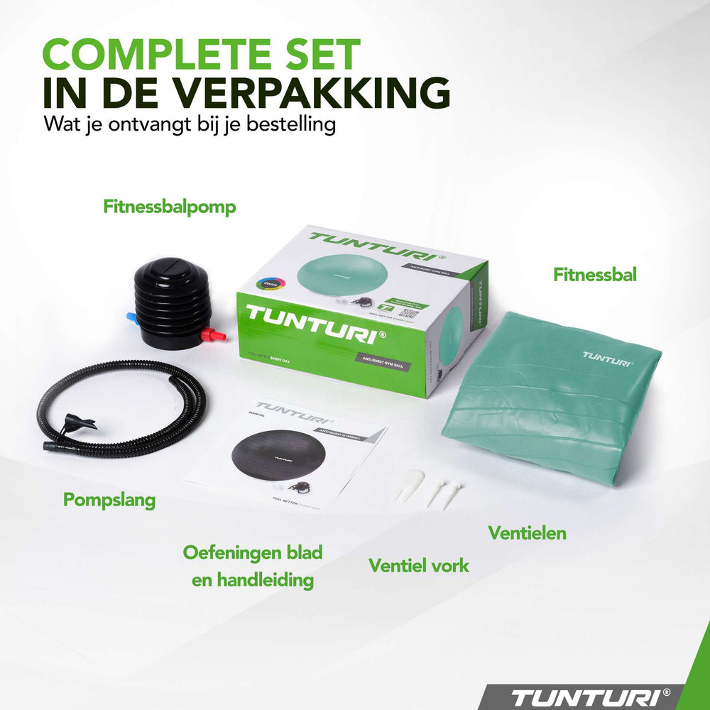 Tunturi Ballon de fitness anti éclatement essence - 65 cm