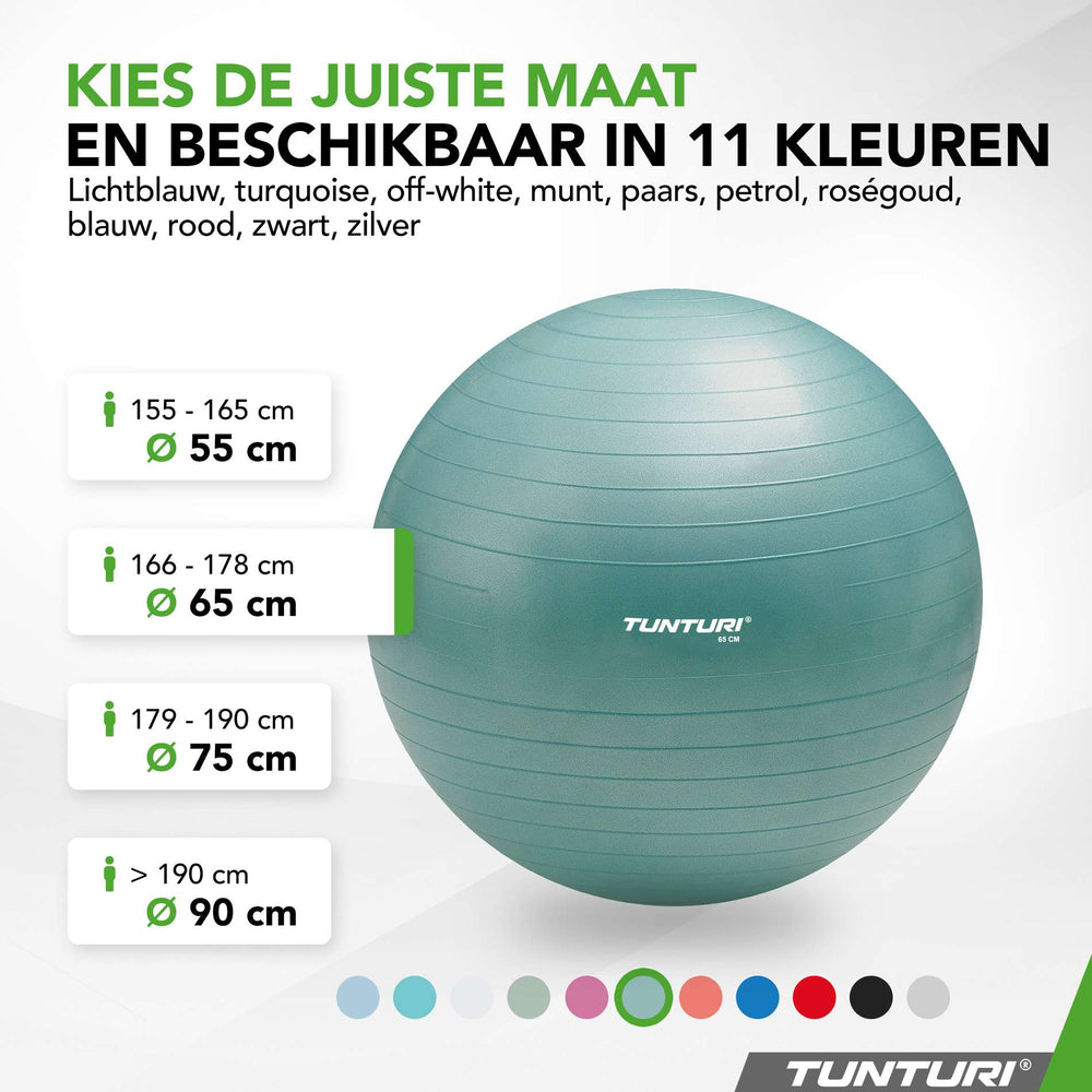 Tunturi Ballon de fitness anti éclatement essence - 65 cm