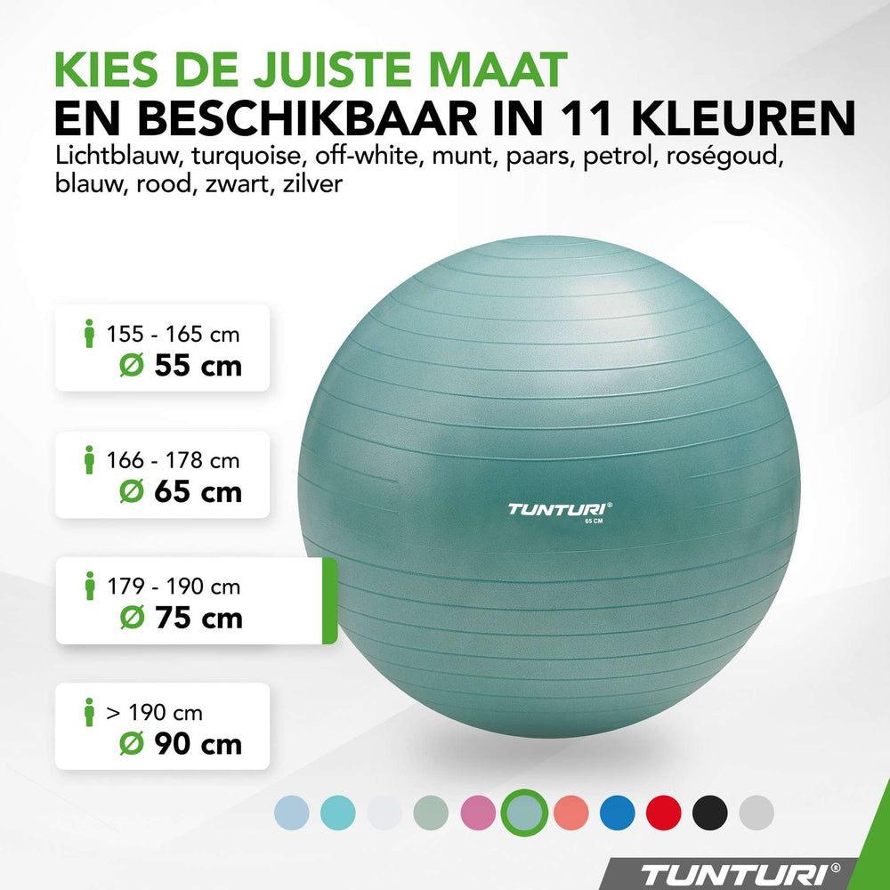 Tunturi Ballon de fitness anti éclatement essence - 75 cm