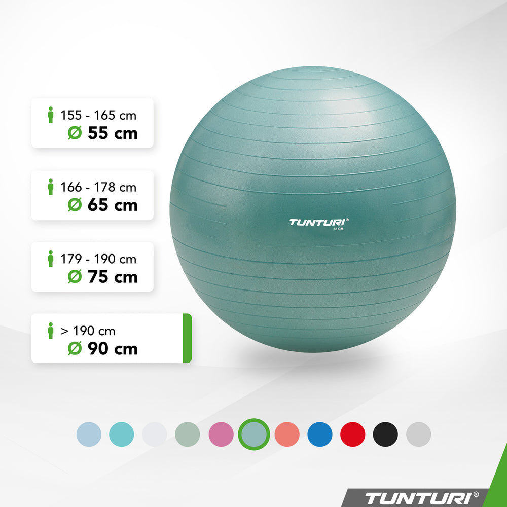 Tunturi Ballon de fitness anti éclatement essence - 90 cm