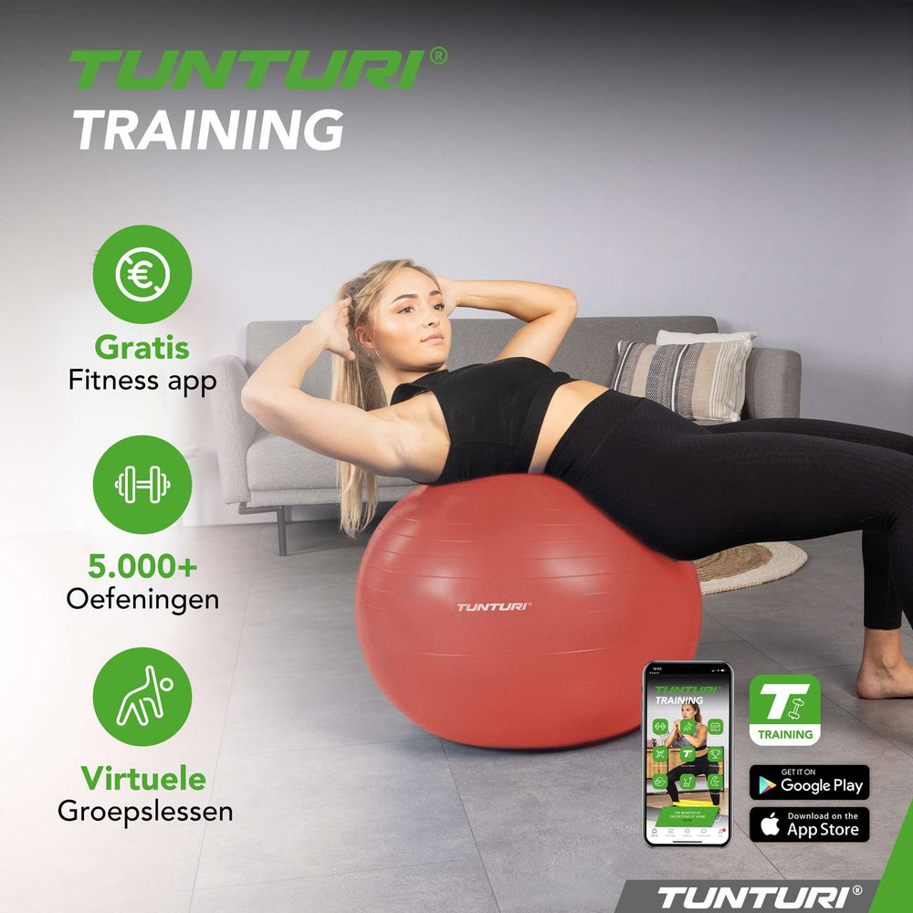 Ballon de fitness Tunturi anti-éclatement or rose - 65 cm