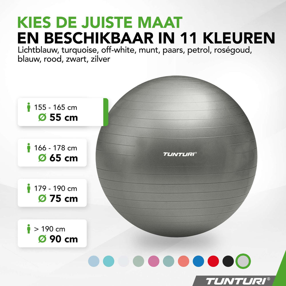 Tunturi Ballon de fitness anti éclatement argent - 55 cm