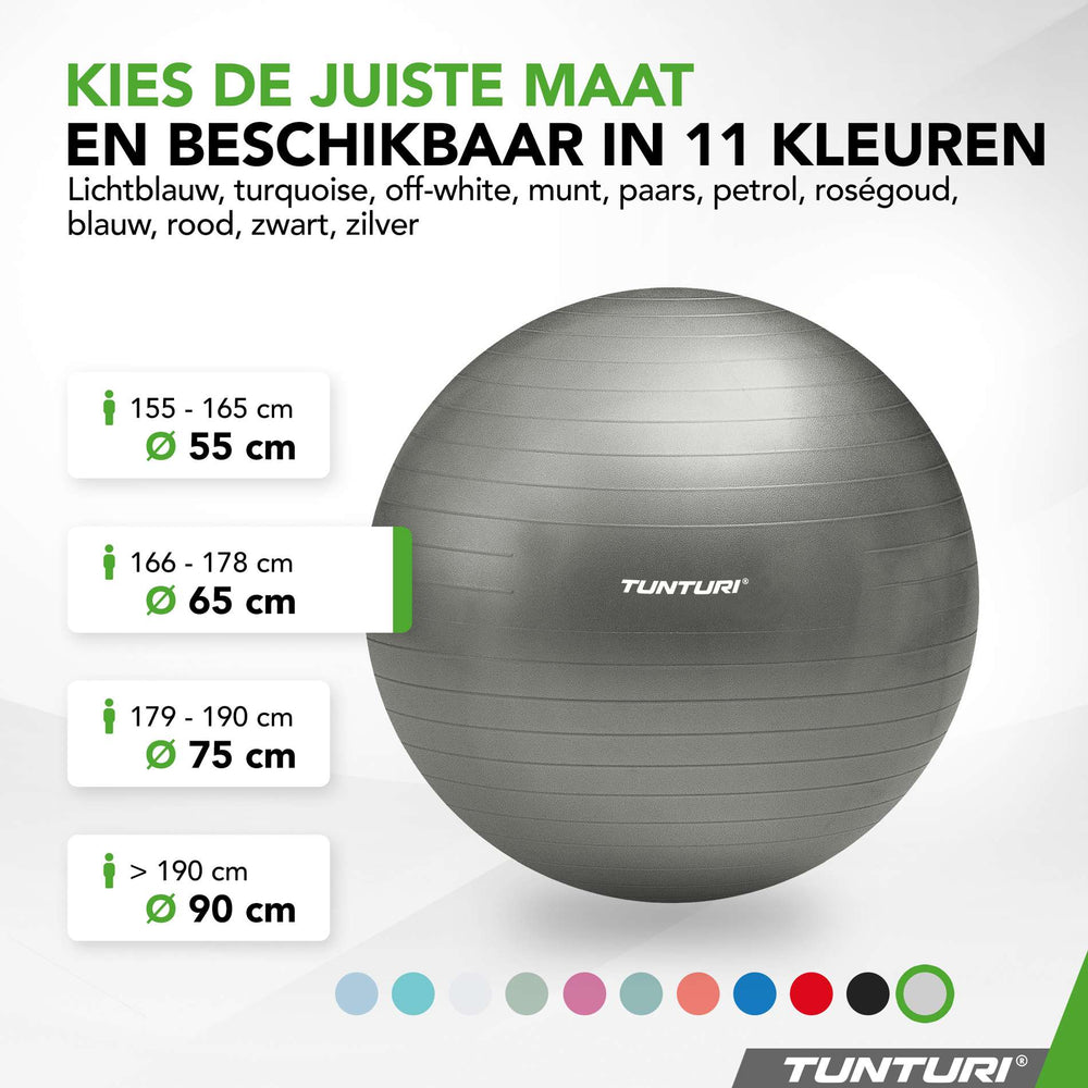 Tunturi Ballon de fitness anti éclatement argent - 65 cm