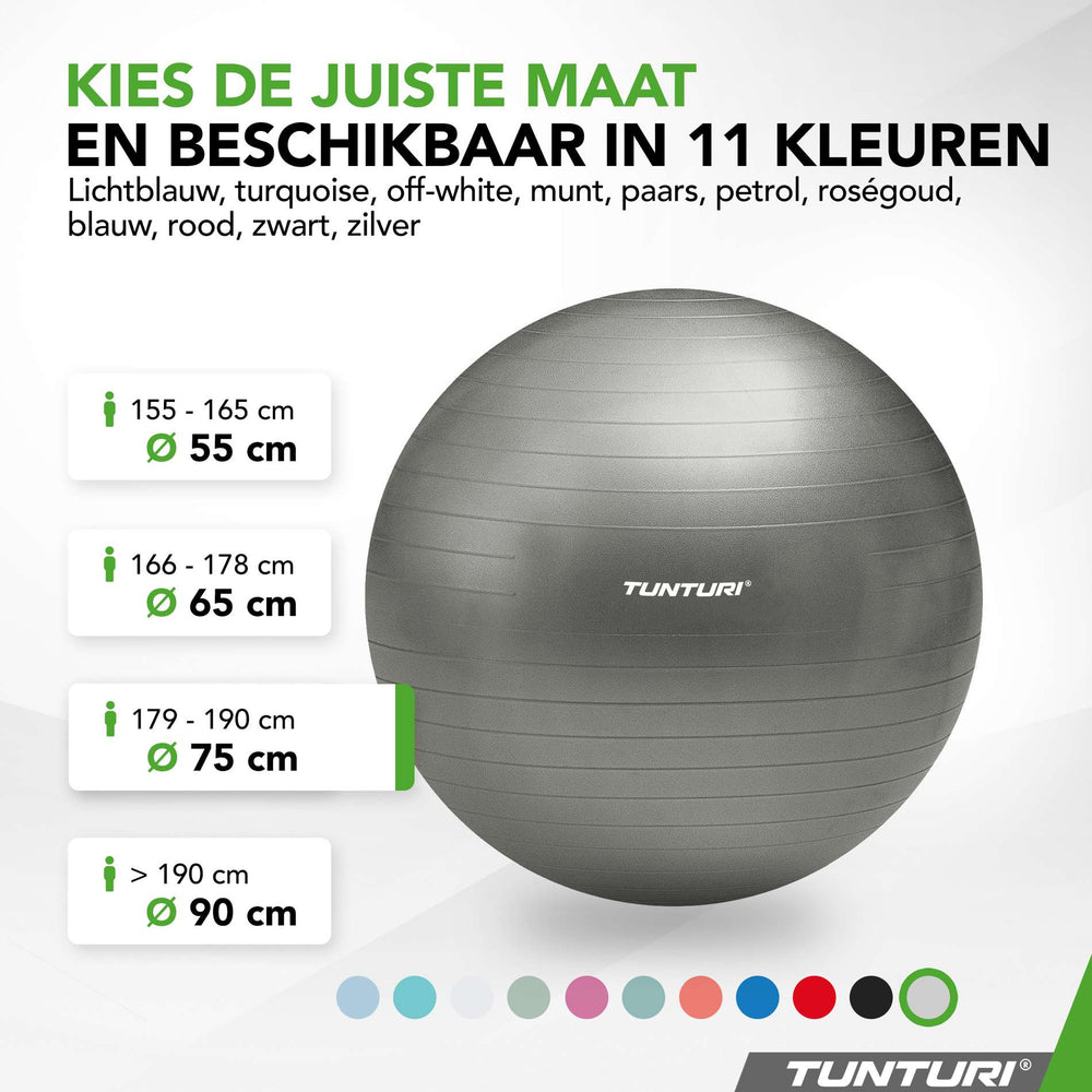 Tunturi Ballon de fitness anti éclatement argent - 75 cm