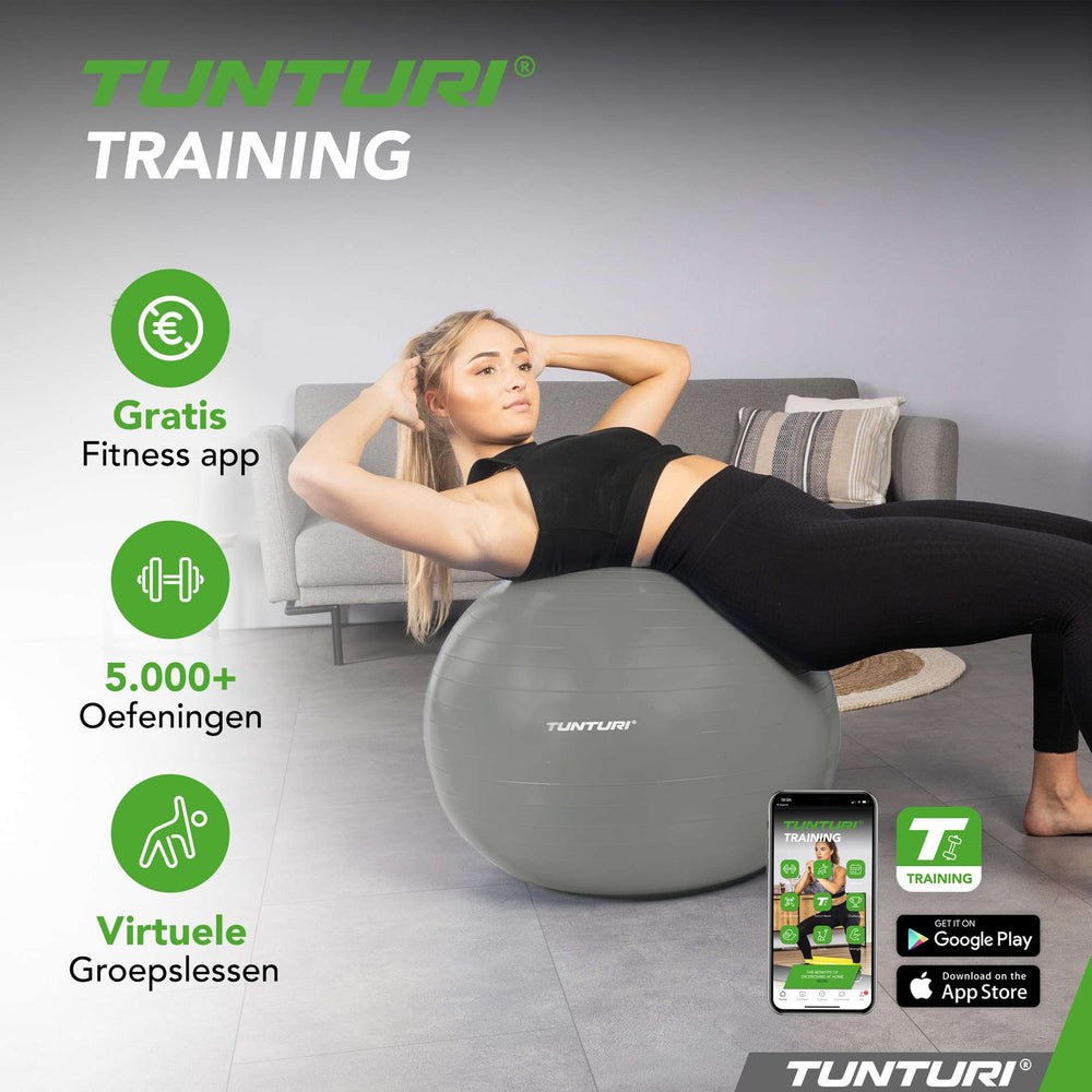 Tunturi Ballon de fitness anti éclatement argent - 90 cm