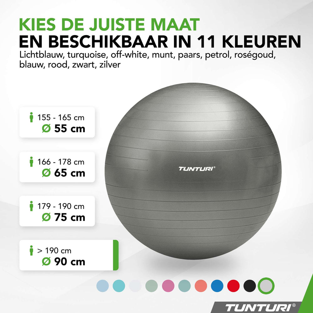 Tunturi Ballon de fitness anti éclatement argent - 90 cm