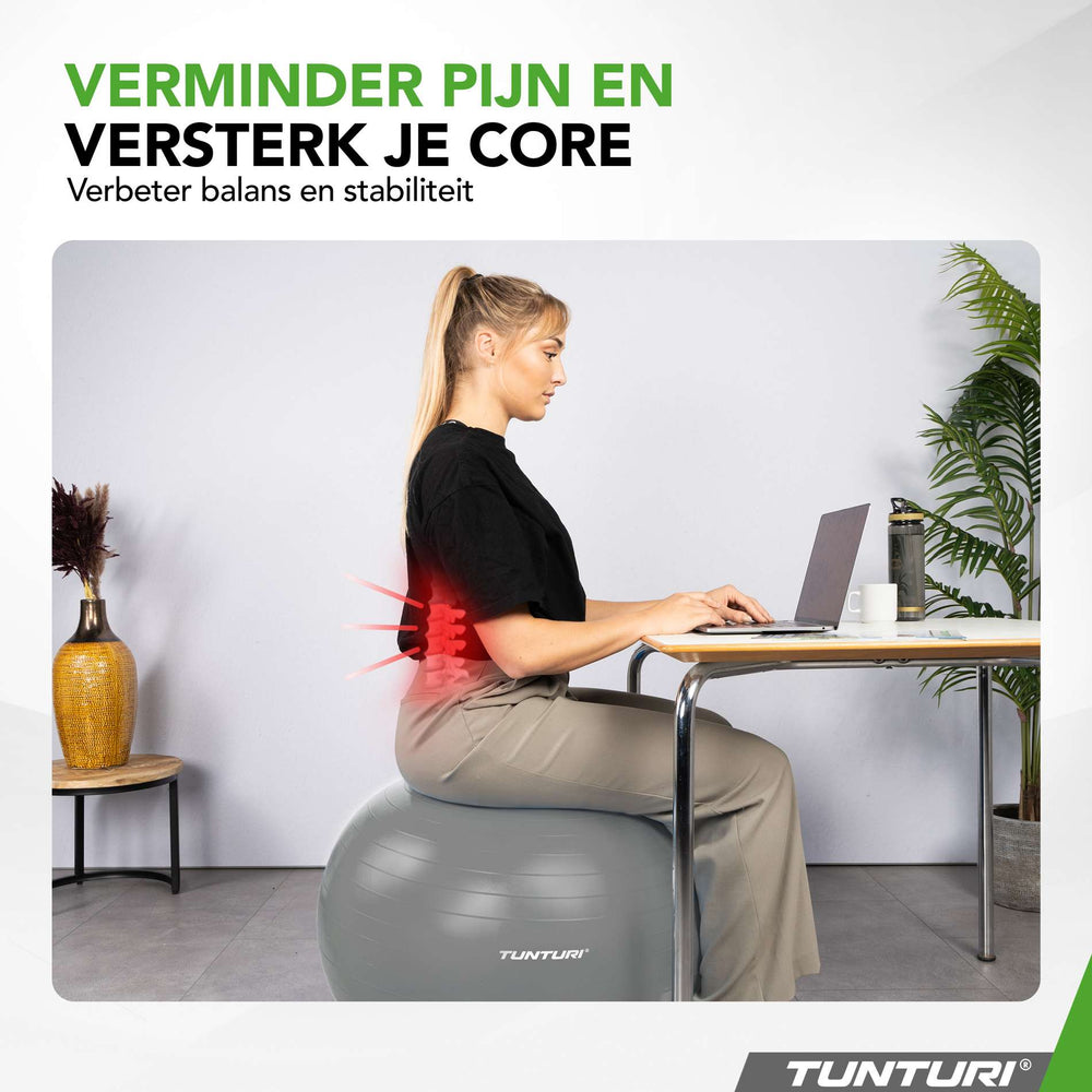 Tunturi Ballon de fitness anti éclatement argent - 90 cm
