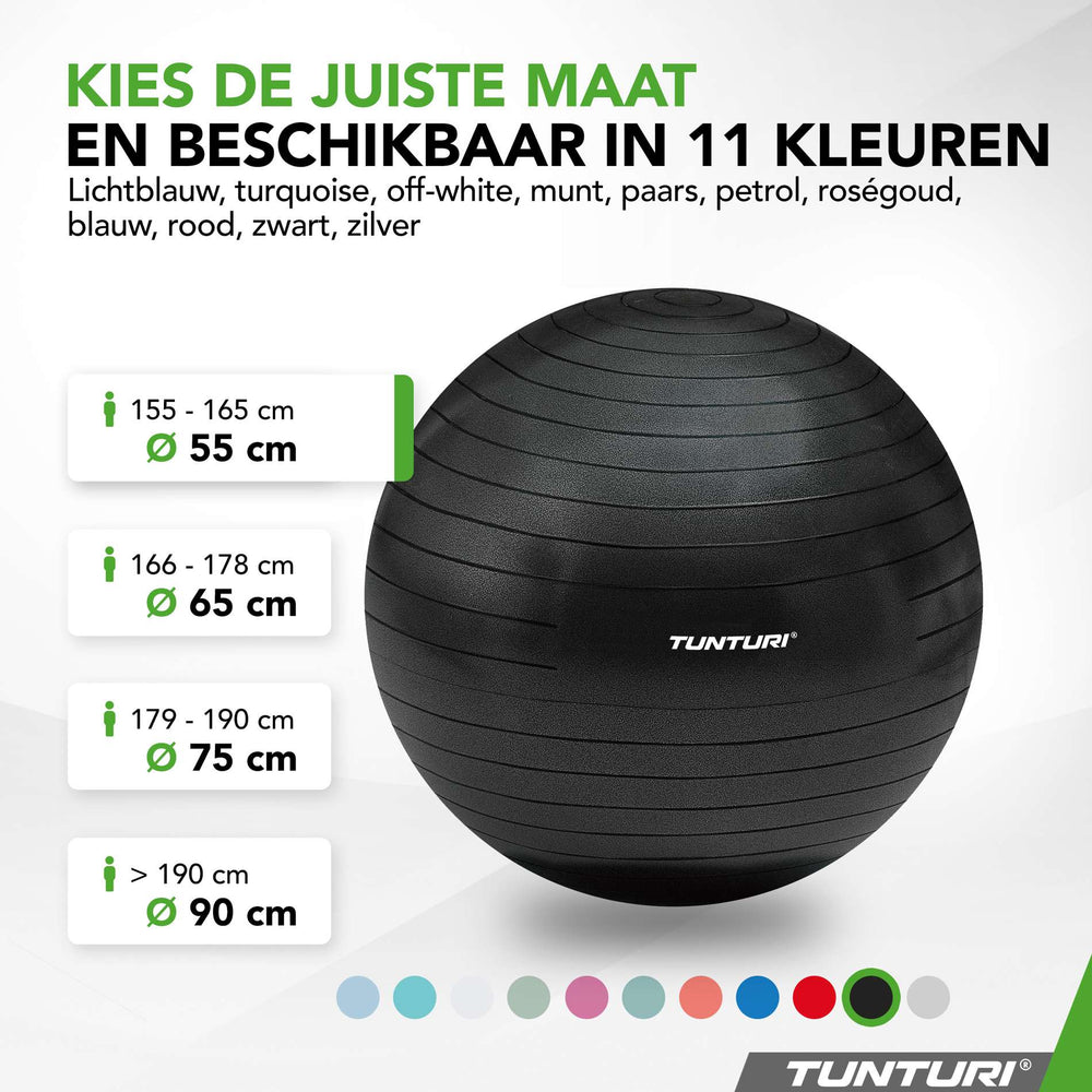 Tunturi Ballon de fitness anti éclatement noir - 55 cm