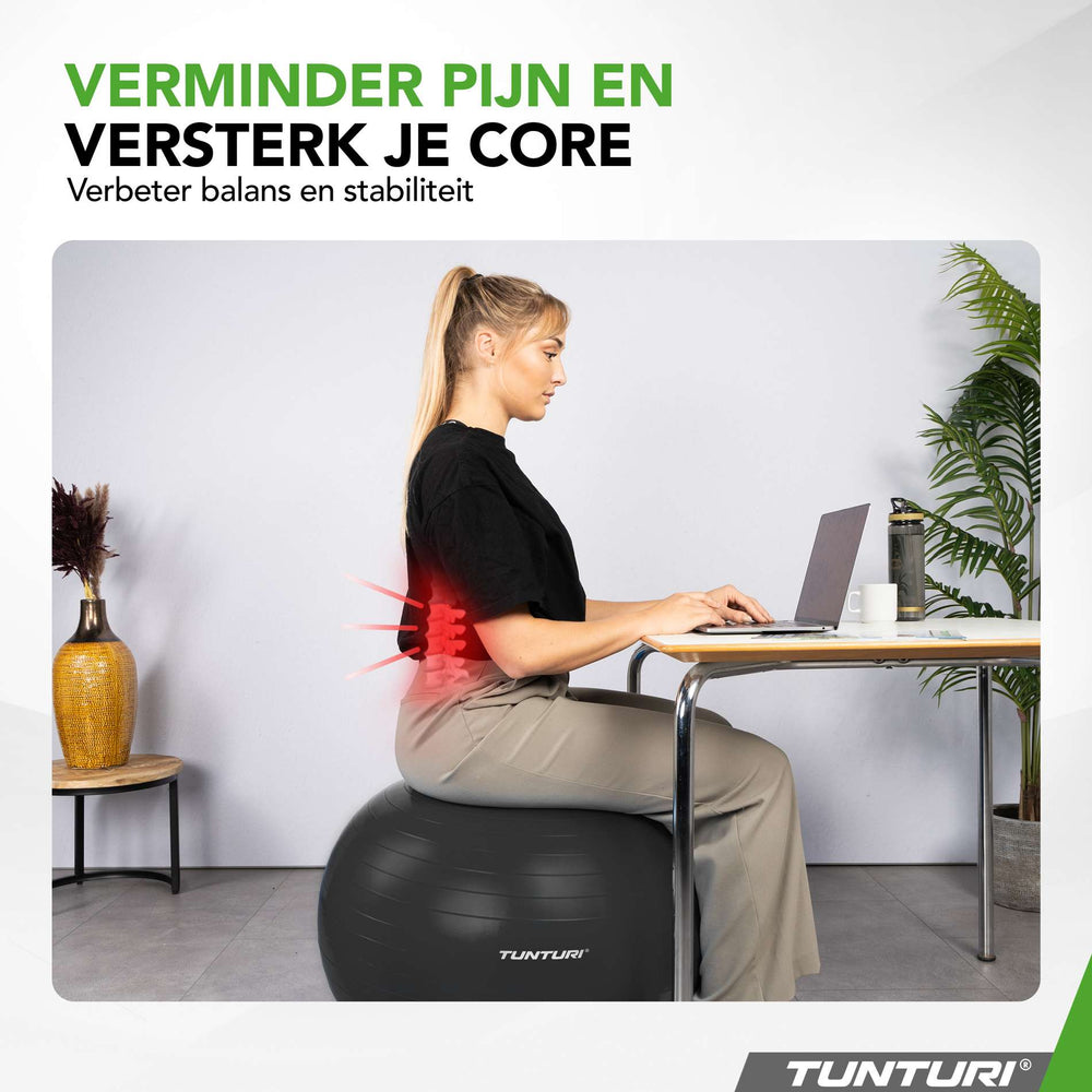 Tunturi Ballon de fitness anti éclatement noir - 65 cm