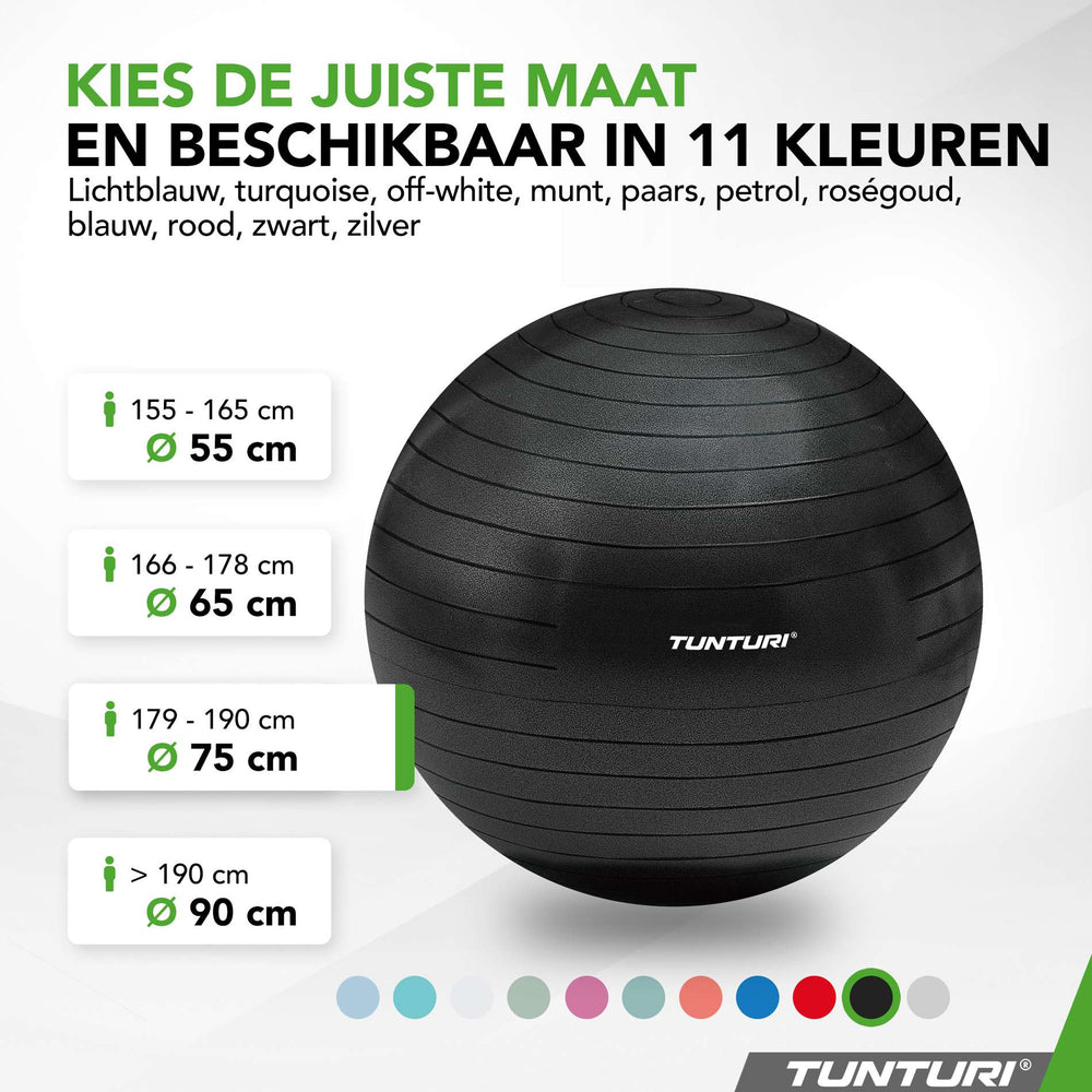 Tunturi Fitnessbal anti burst zwart - 75 cm