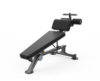 Hammer Stronger Decline Bench