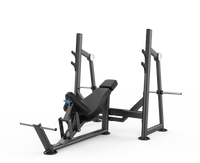 Hammer Stronger Olympic Bench Incline
