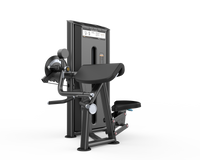Hammer Stronger Preacher Curl & Triceps