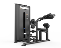 Hammer Stronger Abdominal & Back Extension