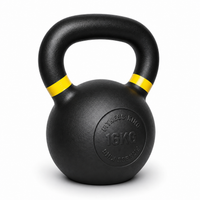 FitnessKing iron kettlebell 16kg