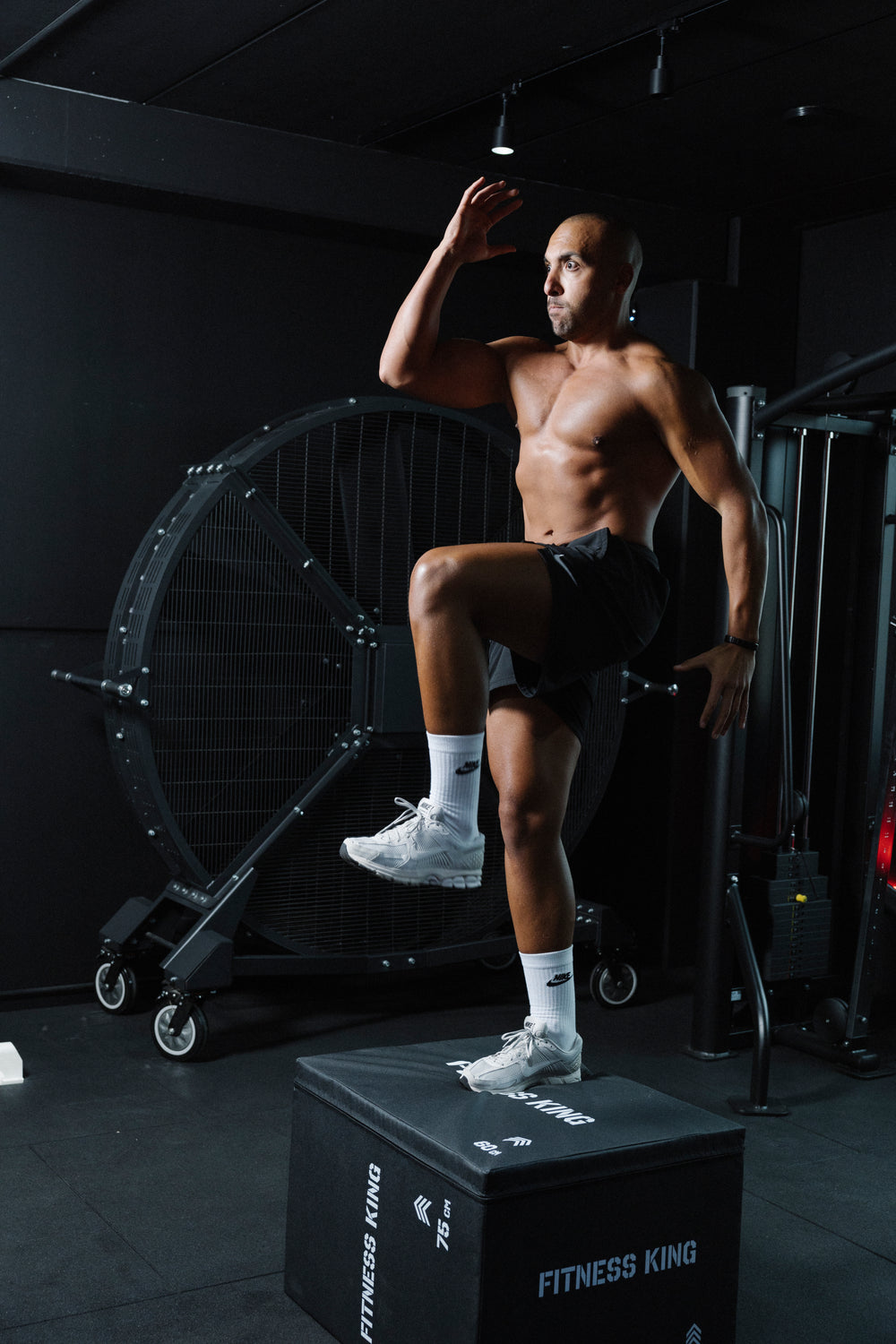FitnessKing 3-in-1 plyobox soft
