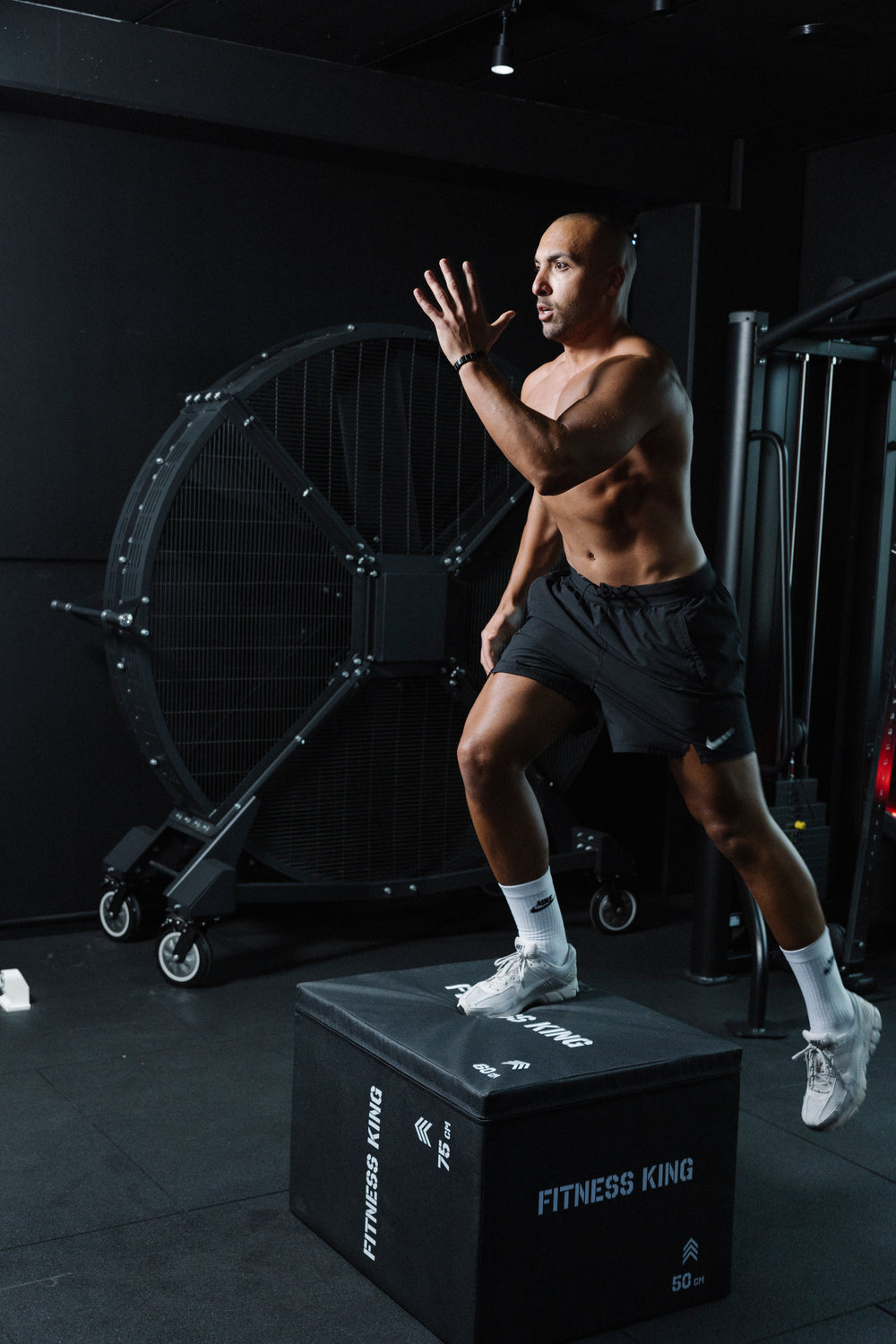 FitnessKing 3-in-1 plyobox soft