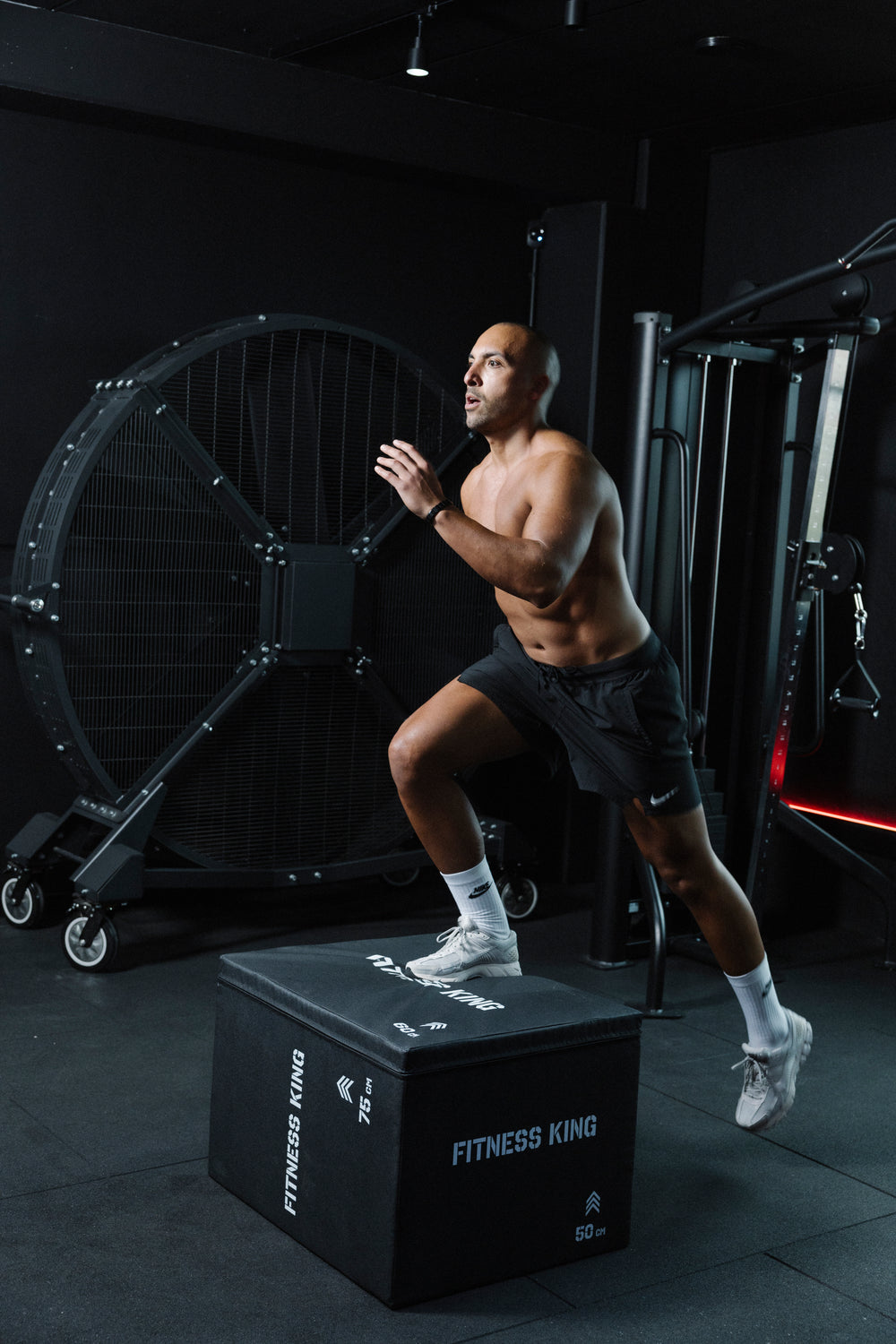 FitnessKing 3-in-1 plyobox soft
