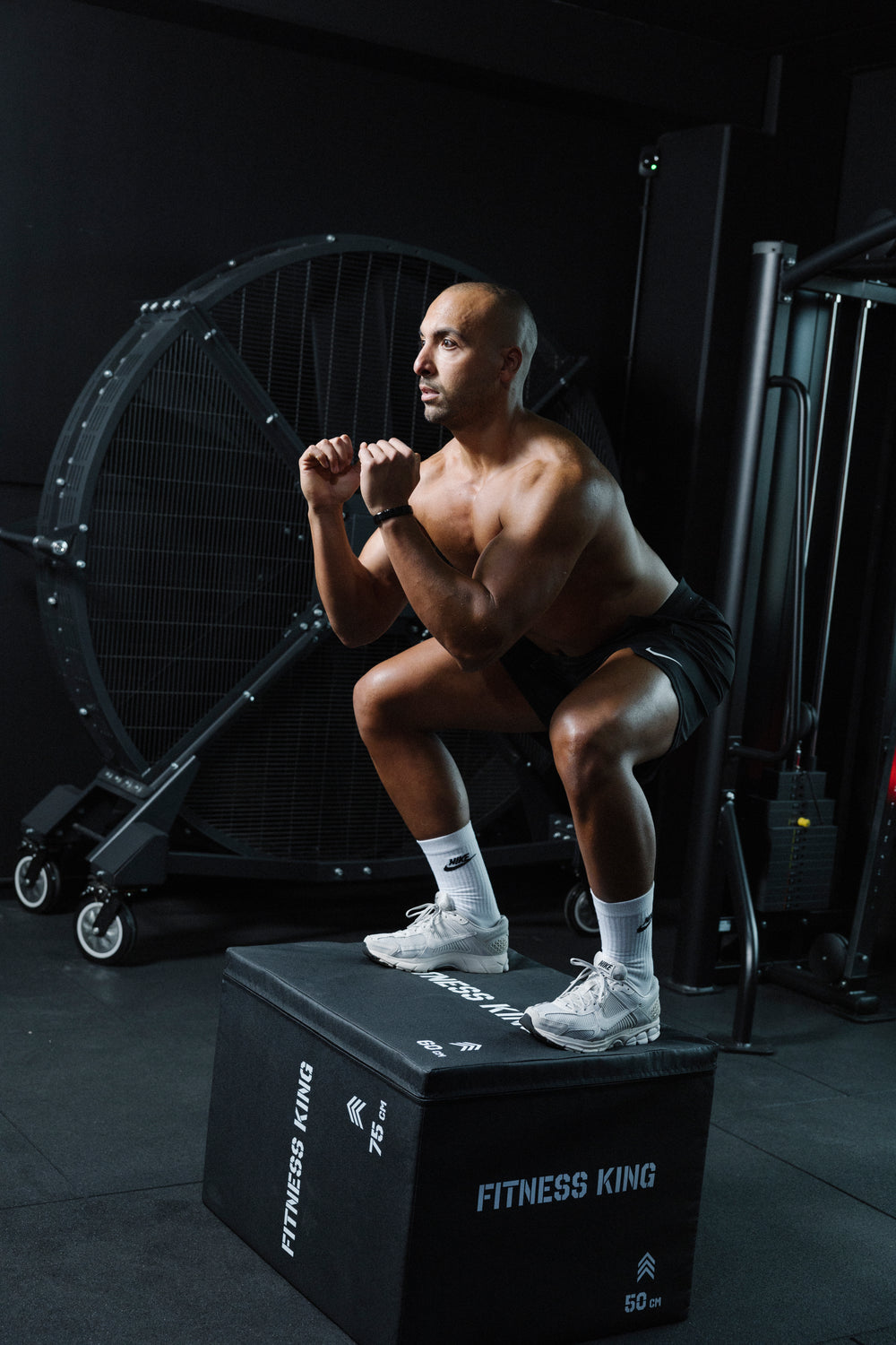 FitnessKing 3-in-1 plyobox soft