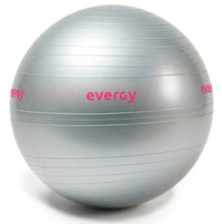 Ballon de gym Fitnessking noir 75 cm