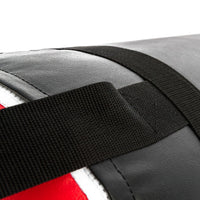 UFC Pro thai bag 100lb