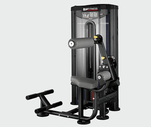 BH Fitness Abdominal/Lower Back Machine L610B