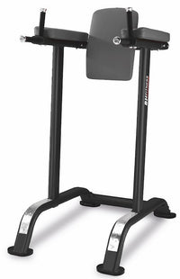 BH Fitness Adbominal Flexor Bench L800BB