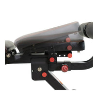 BH Fitness Adjustable Weight Bench G322