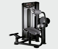 BH Fitness Lower Back Machine L510B