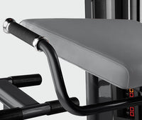 BH Fitness Lower Back Machine L510B