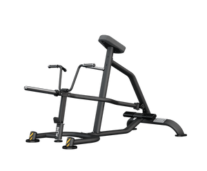 Rameur à barre en T BH Fitness PL290B