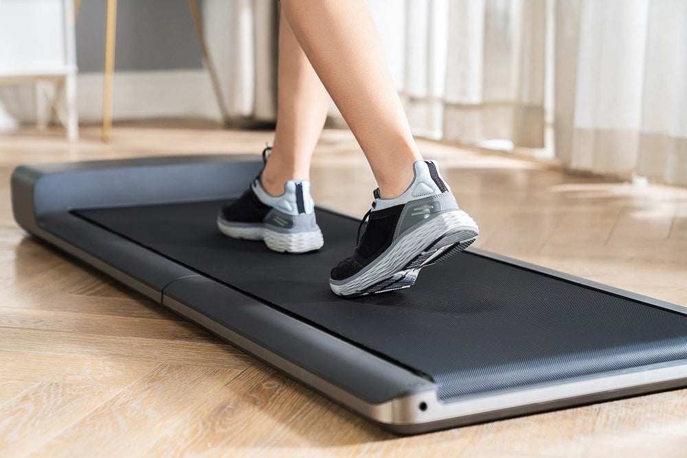 Tapis de marche Flow Fitness Walker DTM100i