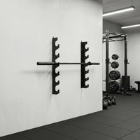 Support d'haltères Spirit Fitness 2 couches