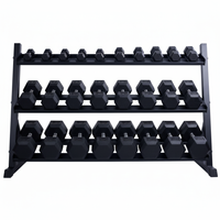 FitnessKing Dumbbell Rack