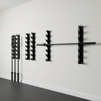 Support d'haltères Spirit Fitness 2 couches